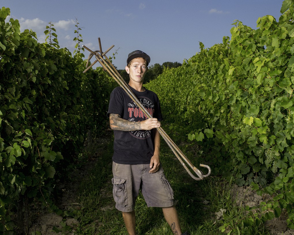 Vineyard Associate, John Swick, 2017.